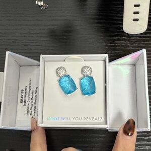Dazzling Blue and Silver Earrings